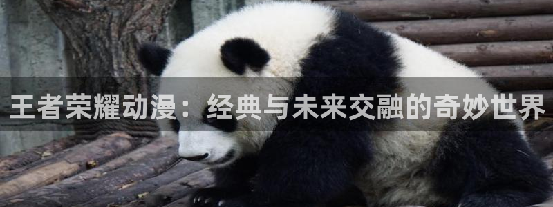 囧次元动漫官方正版：王者荣耀动漫：经典与未来交融的奇妙世界