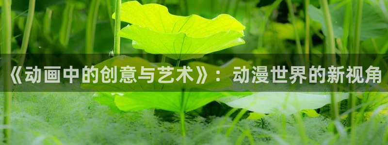 囧次元 下载：《动画中的创意与艺术》：动漫世界的新视角