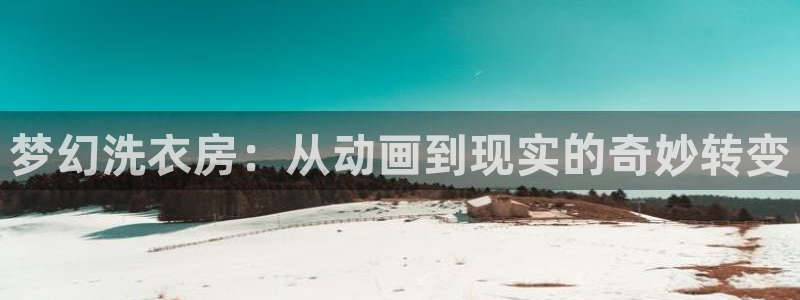 囧次元正版入口：梦幻洗衣房：从动画到现实的奇妙转变