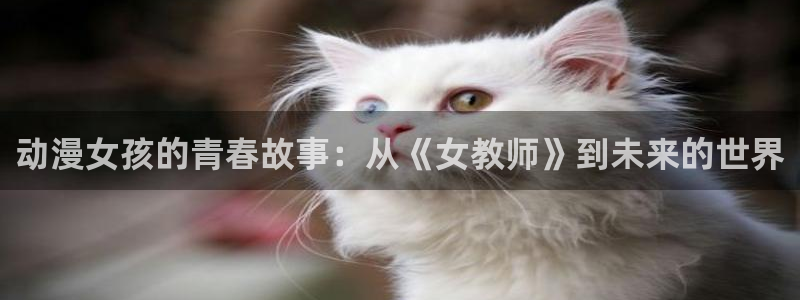 囧次元 翻译：动漫女孩的青春故事：从《女教师》到未来的世界