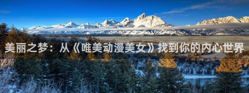 囧次元app正版下载：美丽之梦：从《唯美动漫美女》找到你的内心世界