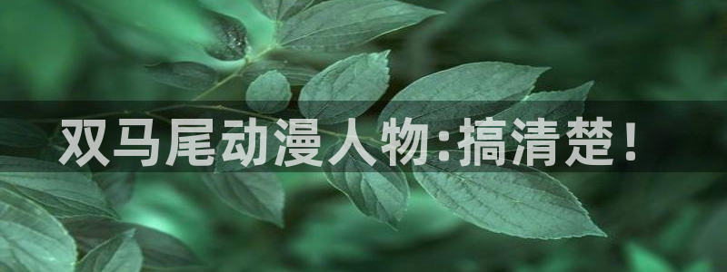 囧次元官方网：双马尾动漫人物:搞清楚！